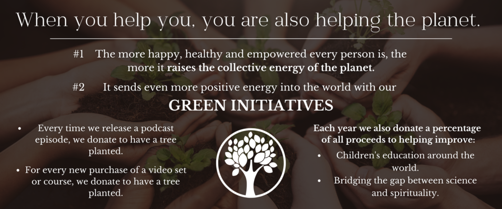 brandy gillmore green initiatives
